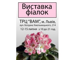Выставка фиалок во Львове 12-15 июля 2018 г.